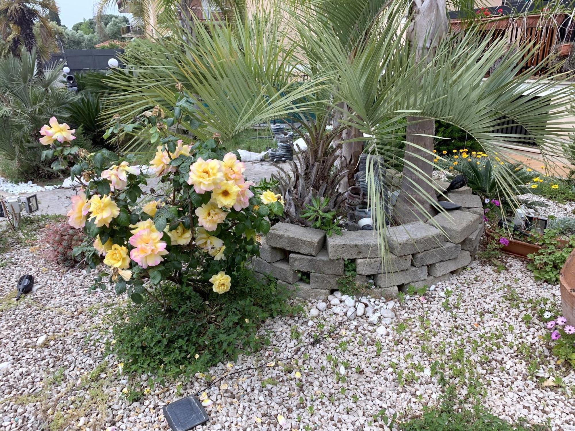 Il Giardino Di Adriana Acomodação com café da manhã Terracina Exterior foto